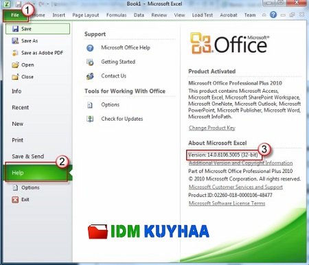 Microsoft Office 2010 Kuyhaa Indir for Windows PC