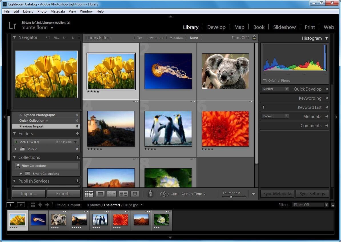 Kuyhaa Adobe Photoshop Lightroom 14.2.0 Unduh Terbaru 2025
