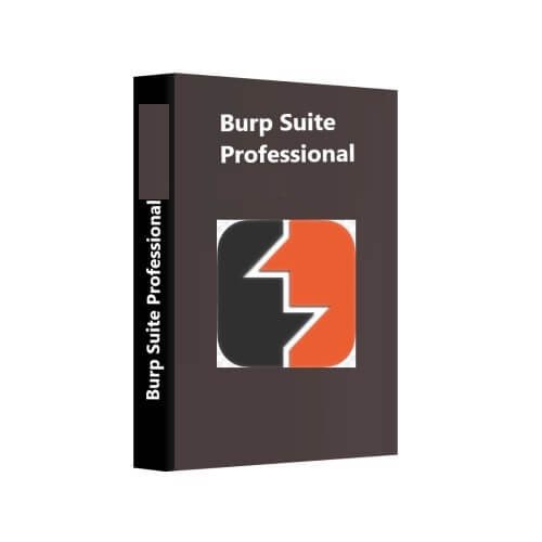 Burp Suite Professional Crack V2025.6.1 Unduh Gratis Terbaru